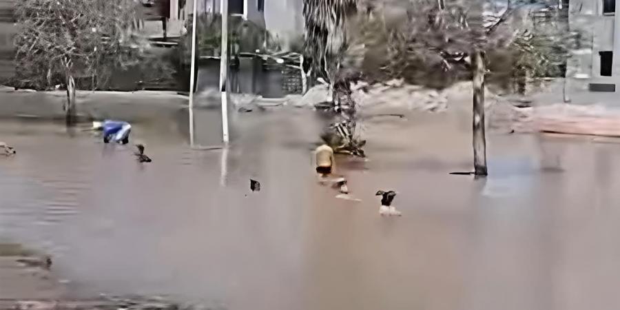 بقا مسبح للصغار .. غرق شارع المجاورة 54 بالعاشر في الشرقية بعد كسر مفاجئ في ماسورة مياه