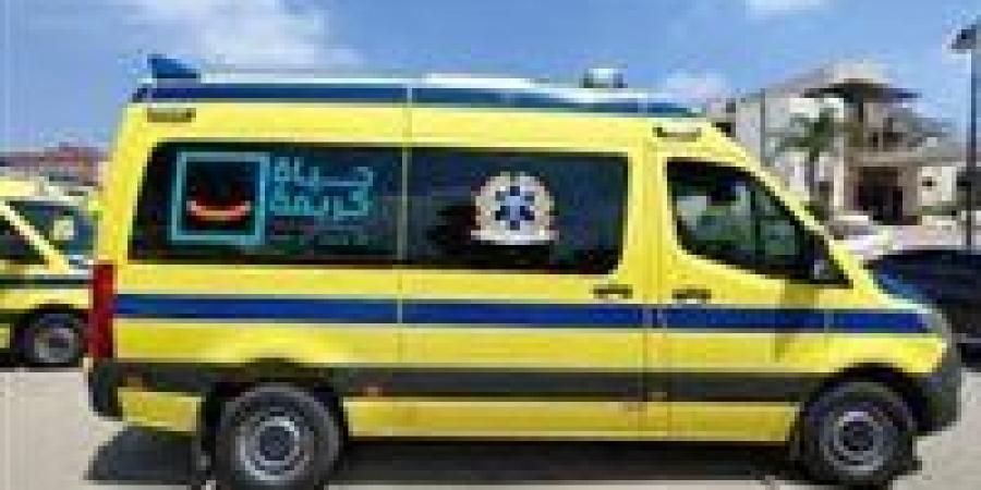 انقلاب مفاجئ على طريق الإسماعيلية.. غيبوبة وإصابات خطيرة بين أسرة كاملة