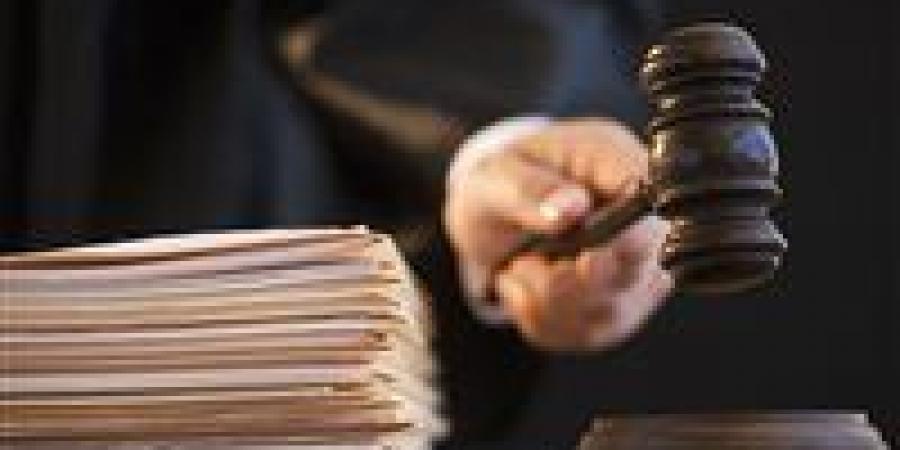 “التمويل والأخبار الكاذبة”.. 12 متهمًا أمام المحكمة في قضية خلية القاهرة الجديدة