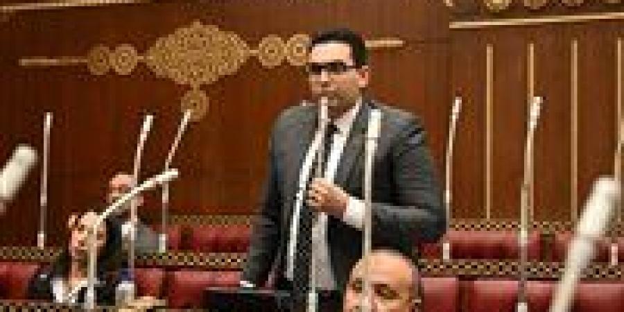 نائب بالشيوخ يطالب بإعداد كوادر متخصصة لدعم فلسفة «التوكاتسو»