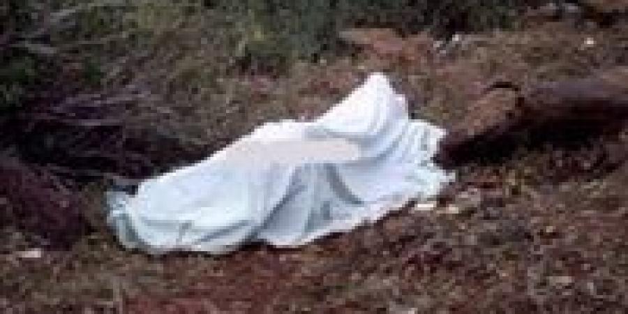 "إحنا هنقتله النهارده".. تهديد قبل ساعات من جريمة صفط التي انتهت بدماء على باب البيت