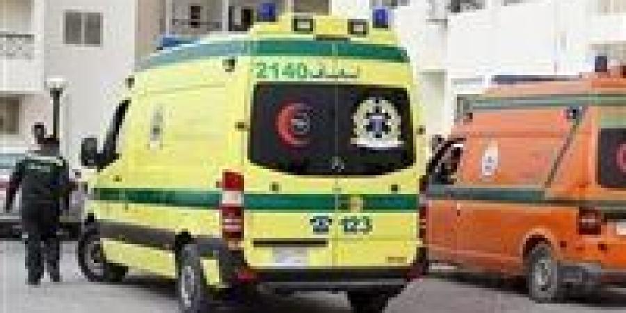 تمر بأزمة نفسية .. سيدة تُلقي بنفسها وطفليها في نهر النيل بقنا ونجاة الأم وانتشال رضيع