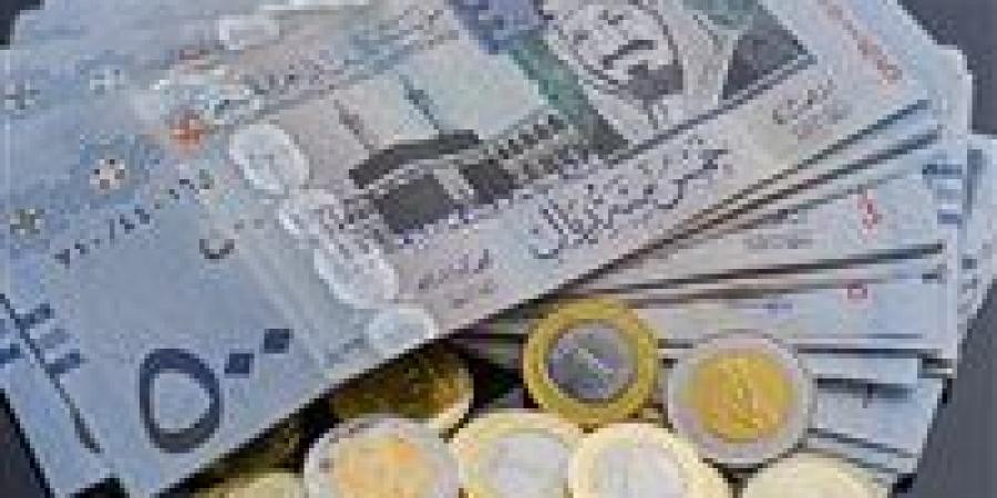 الريال السعودي يتحرك أمام الجنيه.. أحدث الأسعار في البنوك المصرية اليوم