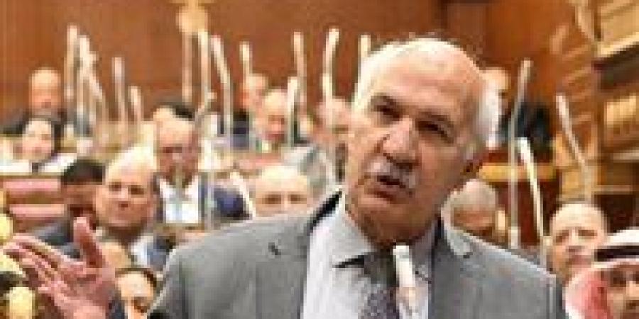 رئيس حزب التجمع يرفض خطة التنمية: حكومة مدبولي بتشتغل مع الاحتكار وترعاه