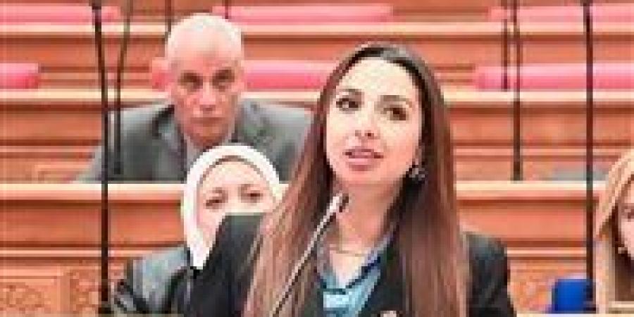النائبة نشوى الشريف: إعادة مناقشة ملف حملة الماجستير والدكتوراه بلجنة القوى العاملة الثلاثاء المقبل