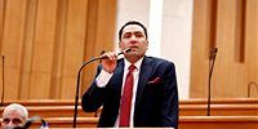 اليوم.. «القوى العاملة بالنواب» تناقش طلب إحاطة لعوض أبو النجا بشأن تعطل الاستفادة من حملة الماجستير والدكتوراه