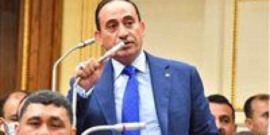 محمد زين الدين: مخصصات التعليم والصحة في الموازنة أقل من الاستحقاق الدستوري