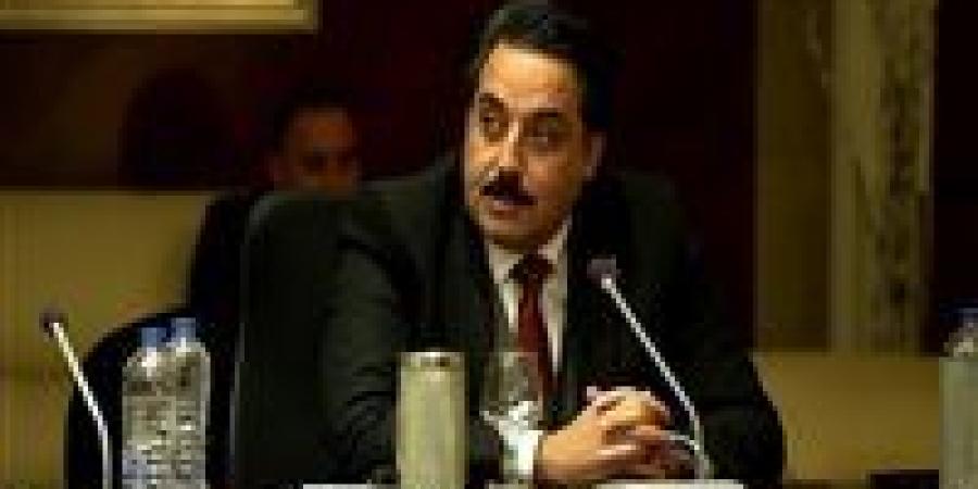 قيادي بحزب الجيل: بيان الرئاسة المصرية يُجسد دور القاهرة كصمام أمان ومنارة للسلام بالمنطقة