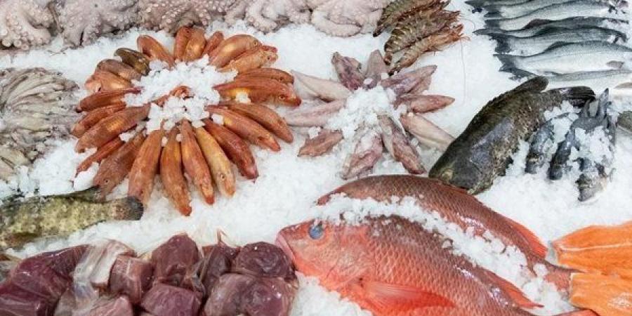 أسعار السمك اليوم السبت 20 يونيو 2026، انخفاض جديد في البلطي والمكرونة وارتفاع البوري