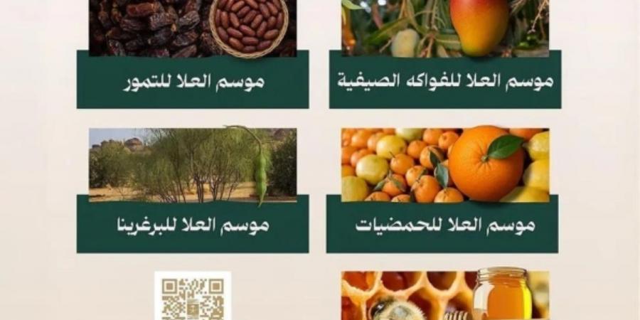 هيئة العلا تدعو المزارعين والأسر المنتجة للمشاركة في مواسم «خيرات العلا»