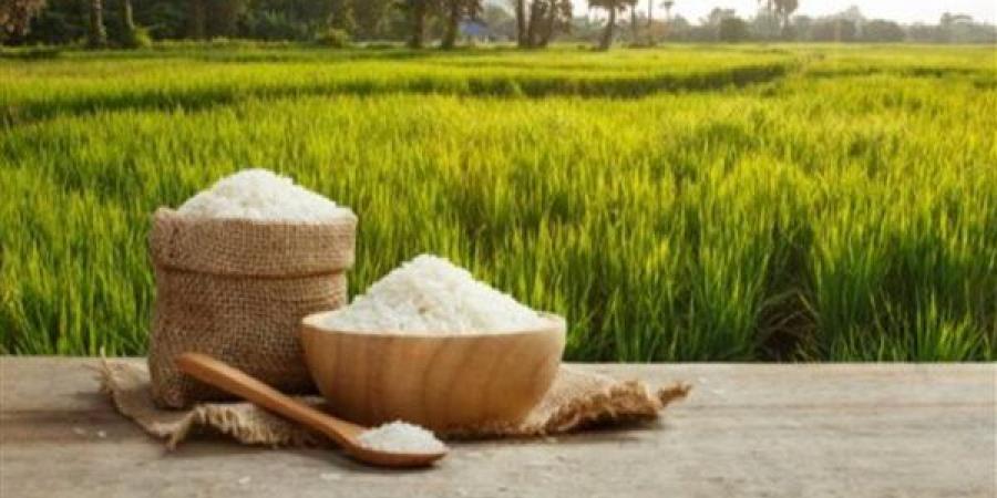 تعرف على سعر كيلو الأرز في الأسواق اليوم الاثنين