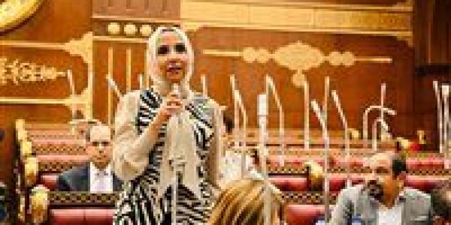 نائبة الشعب الجمهوري ولاء هرماس: دور الانعقاد الأول لمجلس الشيوخ شهد أداءً مميزًا.. والحكومة استجابت لعدد من رؤى النواب ومقترحاتهم
