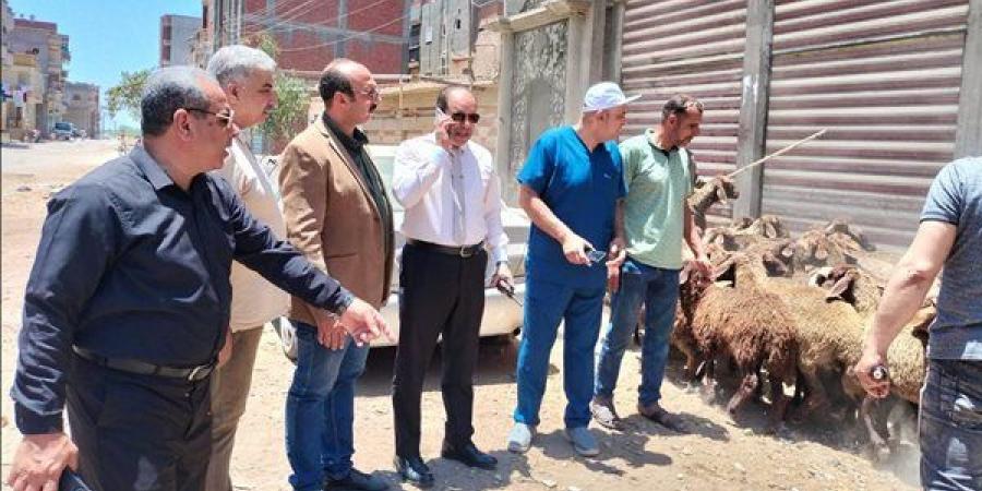 محافظ الدقهلية يتابع قوافل الطب البيطري المجانية بشربين