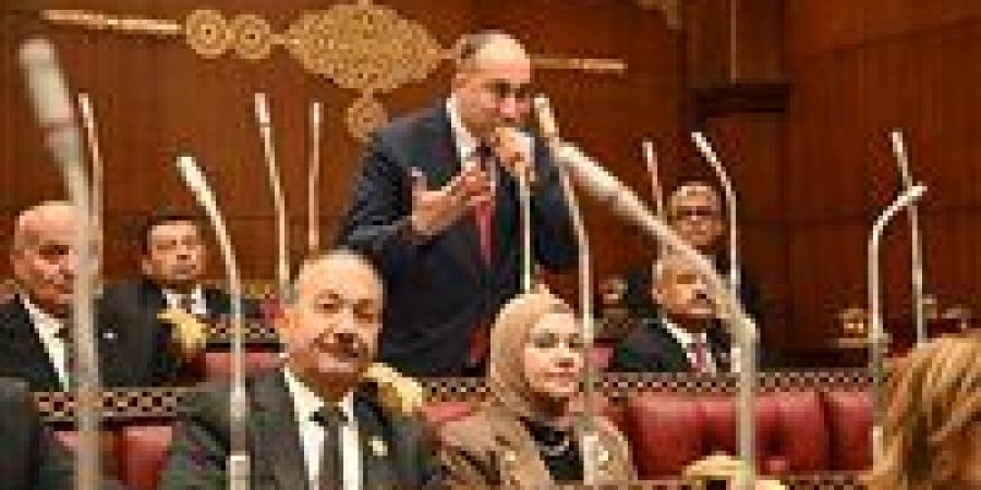 النائب عمرو رشاد يقترح منح الأراضي الصناعية للمستثمرين بأسعار عادلة وربطها بالإنتاج الفعلي
