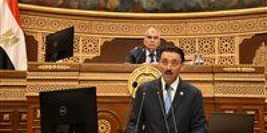 «شريان الاقتصاد المصري».. محمد رزق يستعرض طلب مناقشة عامة بالشيوخ حول مواجهة معوقات المشروعات الصغيرة والمتوسطة ومتناهية الصغر