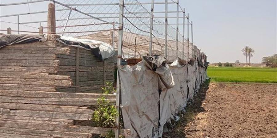 إزالة 99 حالة تعد بالبناء المخالف بمحافظة الشرقية