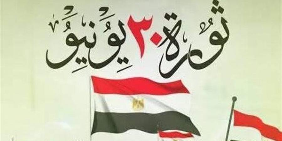 الجبهة الوطنية: ثورة 30 يونيو رفضت اختطاف الدولة المصرية والعبث بمؤسساتها
