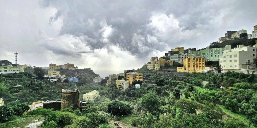 71 غابة في جازان.. تنوع بيئي وثروة طبيعية يعززان السياحة