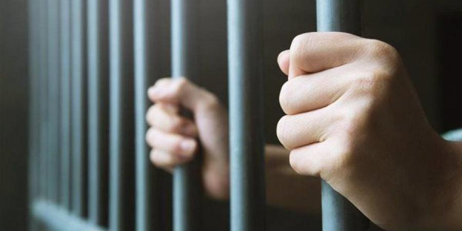 ضبط صاحب "عربة مأكولات" و5 عمال تعدوا على مسؤولين بحى العجمى أثناء تنفيذ حملة إشغالات
