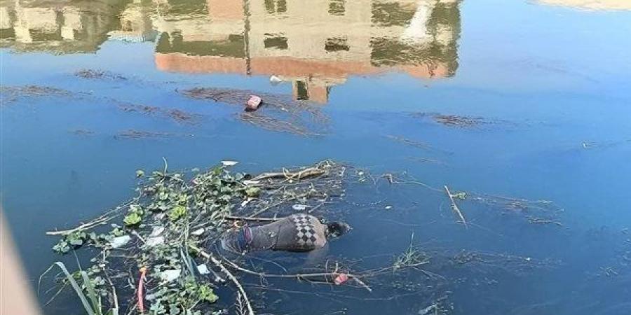 العثور على جثة مجهولة الهوية بمياه ترعة المرصفاوية في شبين القناطر