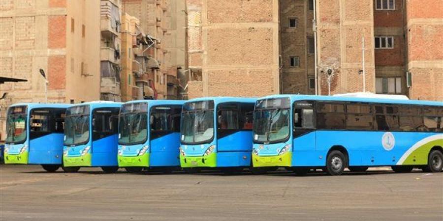 نقل الإسكندرية: خطة تشغيل استثنائية لخدمة الجماهير خلال مباراة مصر والأرجنتين