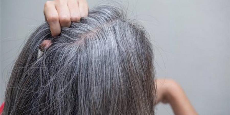 وصفة طبيعية للعناية بالشعر الأبيض ومنحه لونا داكنا