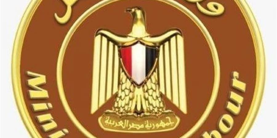 منح ورعاية وتدريب، تفاصيل إنفاق وزارة العمل على الحماية الاجتماعية