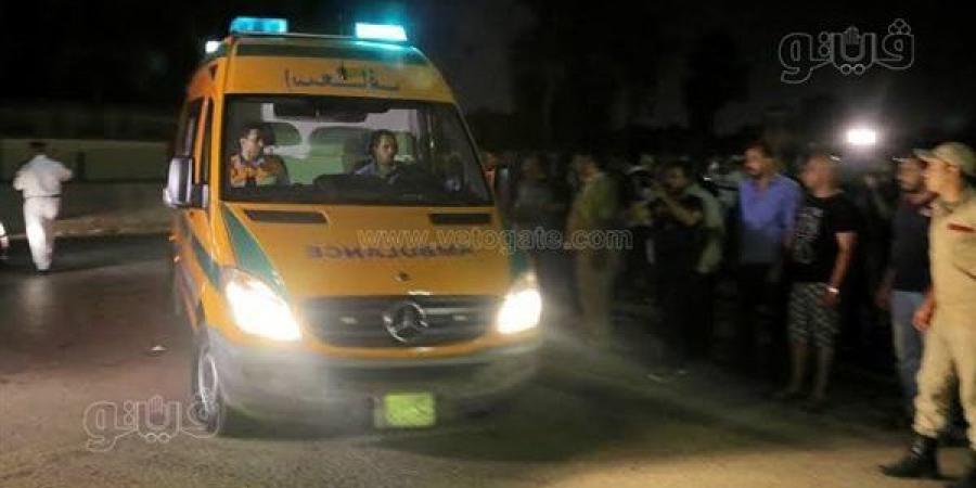بائع يقتل حماه ويمزق جسد زوجته، تفاصيل ليلة الدم في مصنع الثلج بملوي