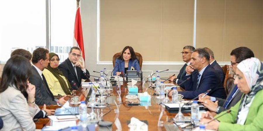 وزيرة الإسكان تبحث مع مسئولي مصر إيطاليا للتطوير العقاري الفرص الاستثمارية