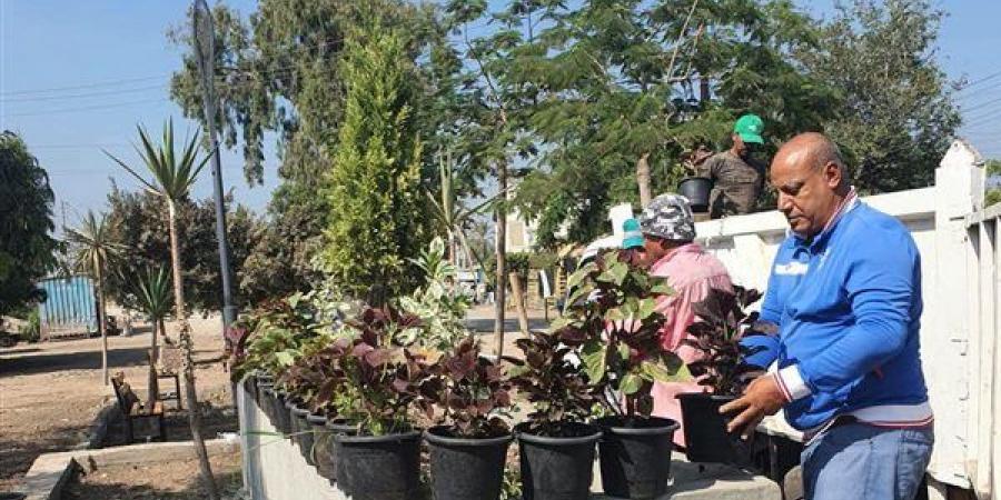 إنشاء حديقة مفتوحة بدلا من منطقة عشوائية في ميت الفرماوي بالدقهلية (صور)
