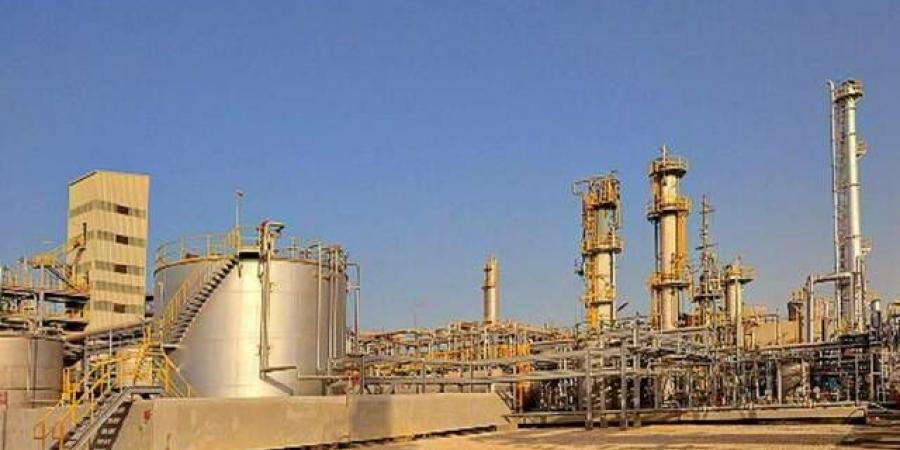 6 أغسطس.. مساهمو "كيمانول" يناقشون القوائم المالية وتعيين مراجع للحسابات