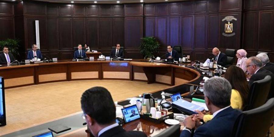 مدبولي: بدء تنفيذ تكليفات الرئيس بشأن العمالة غير المنتظمة والمهن الحرة والعاملين بالخارج