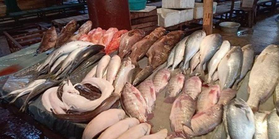 أسعار السمك اليوم، ارتفاع البلطي والجمبري يلامس الألف جنيه وانخفاض الكابوريا 10 جنيهات
