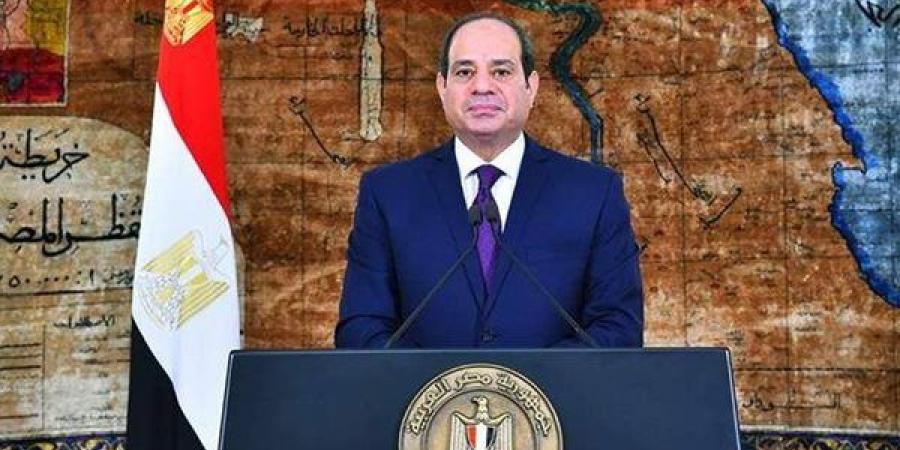 نص كلمة السيسي في المؤتمر الصحفي مع رئيسة تنزانيا