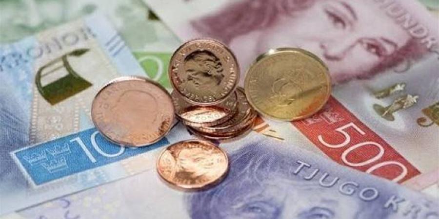 سعر الكرون السويدى أمام الجنيه فى البنوك المصرية