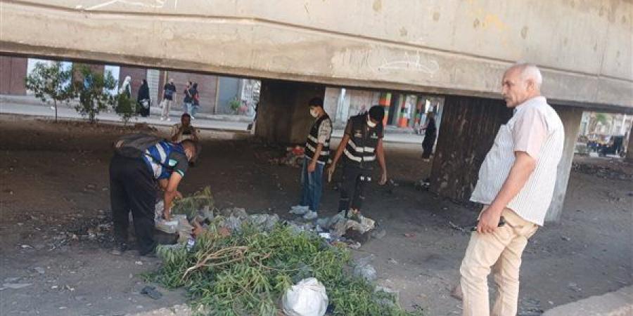 "مكاننا مسؤوليتنا" مبادرة للنظافة والتوعية البيئية بقوص (صور)