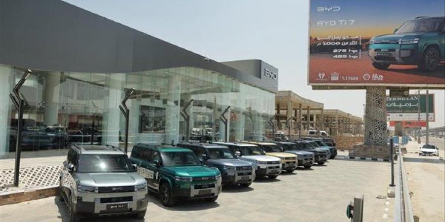 الصين تسيطر علي مبيعات السيارات الكهربائية في السوق المحلي