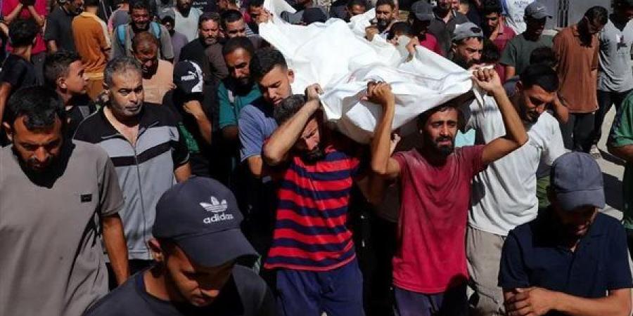 8 شهداء و20 مصابا بنيران الاحتلال الإسرائيلي في قطاع غزة