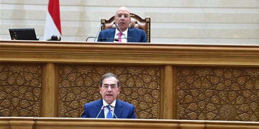 النواب يوافق على 4 مشروعات قوانين للبحث والتنقيب عن البترول والغاز