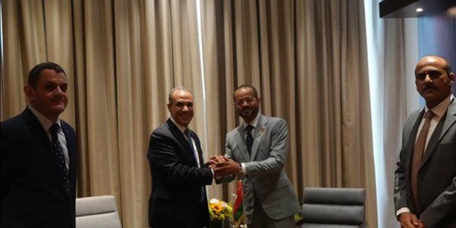 وزير الخارجية ونظيره العُماني يؤكدان أهمية صون حرية الملاحة في مضيق هرمز وفقًا لقواعد القانون الدولي