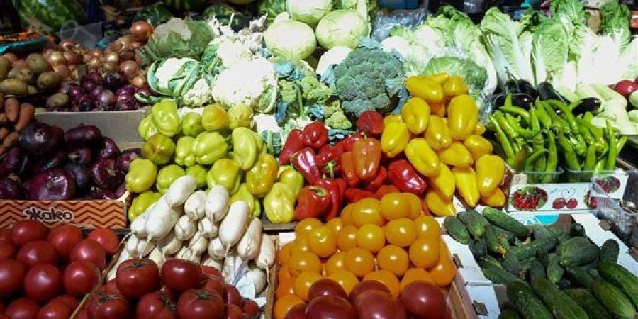 سعر الخضار اليوم، الليمون بـ 45 جنيها وارتفاع الخيار وانخفاض الفلفل ألوان 5 جنيهات
