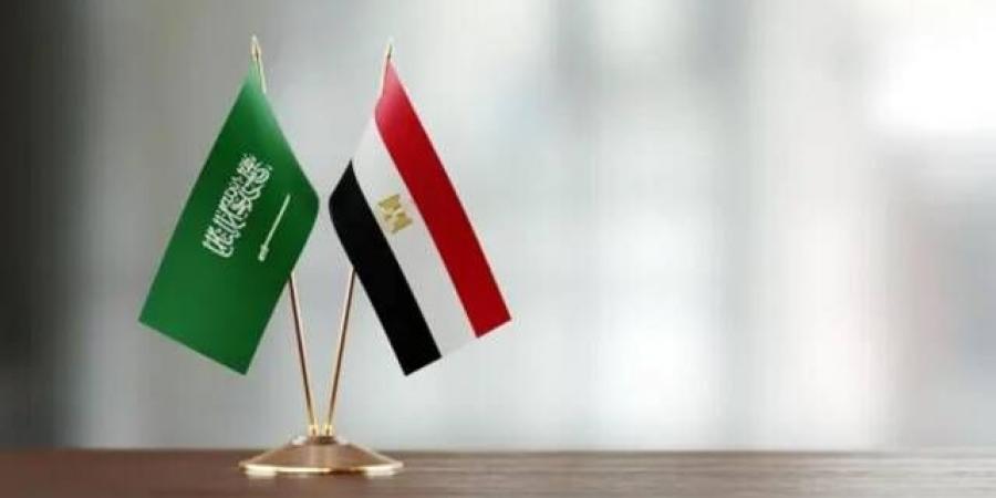 مصر والسعودية تؤكدان ضرورة وقف التصعيد وحماية أمن الملاحة