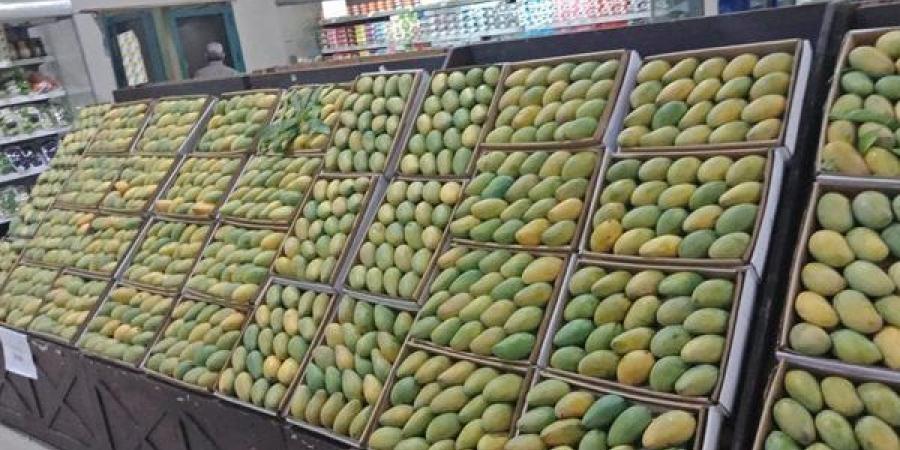 استكتروها علينا، ارتفاع يصل إلى 27 جنيها في أسعار المانجو اليوم بالأسواق