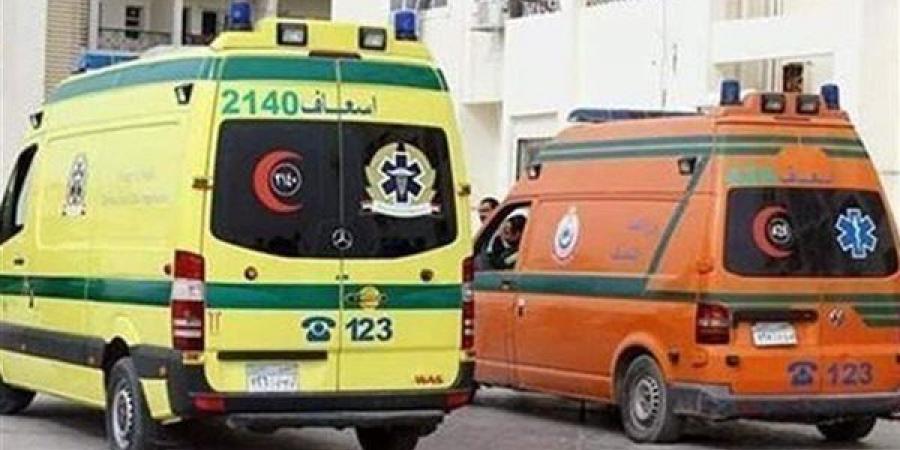 خرجوا بحثًا عن لقمة العيش، حادث مروع يحول رحلة عمال إلى كابوس بالتجمع الخامس