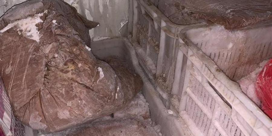 التحفظ على نصف طن آيس كريم فاسد يإحدى الثلاجات في الغربية (صور)