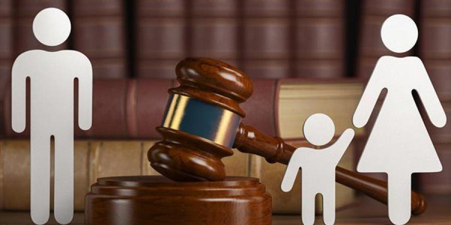 نفقة الألعاب، هل يحق للأم مطالبة الأب بها أمام محكمة الأسرة؟