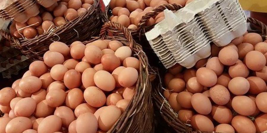 سعر كرتونة البيض اليوم الإثنين في بورصة الدواجن