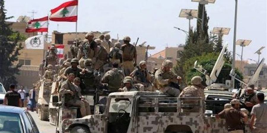 الجيش اللبناني: ضبطنا كمية كبيرة من الذخائر الحربية في بلدة عرسال شرقي البلاد