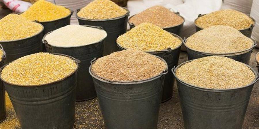 انخفاض الذرة والصويا، أسعار الأعلاف والحبوب اليوم في الأسواق