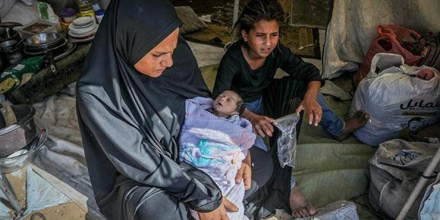 حياة انتهت قبل أن تبدأ.. الإبادة الإسرائيلية تطارد الأجنة في غزة وترفع الإجهاض إلى مستويات غير مسبوقة.. وتحقيق لمجلة  "972+": الأرحام تتحول إلى ساحة حرب